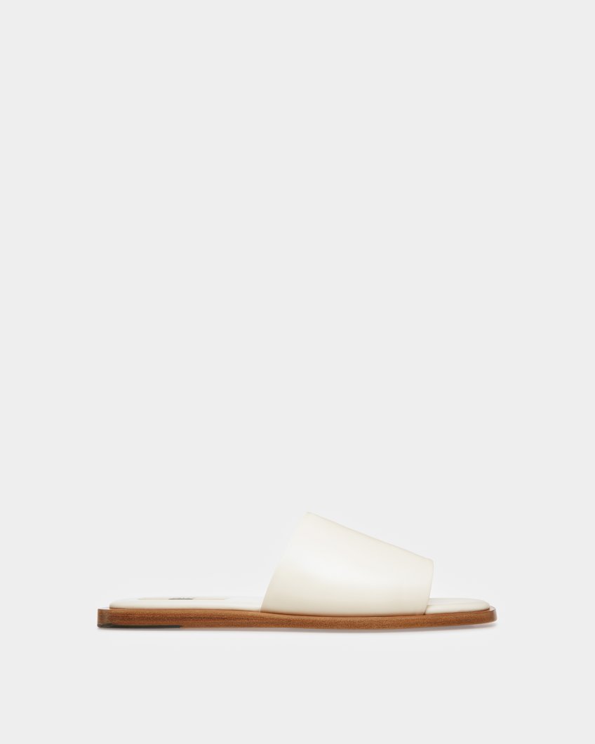 SLIDES - BONE 15