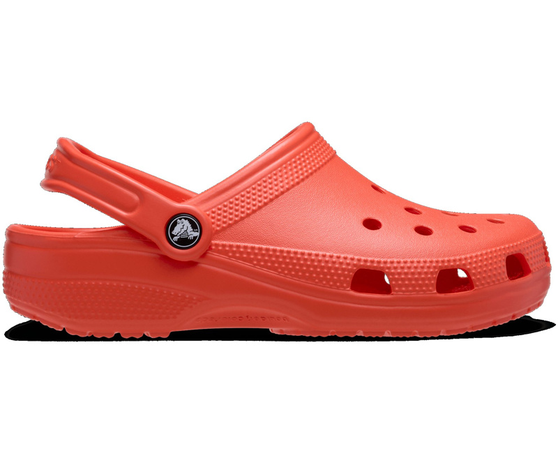CLOG - STARFISH