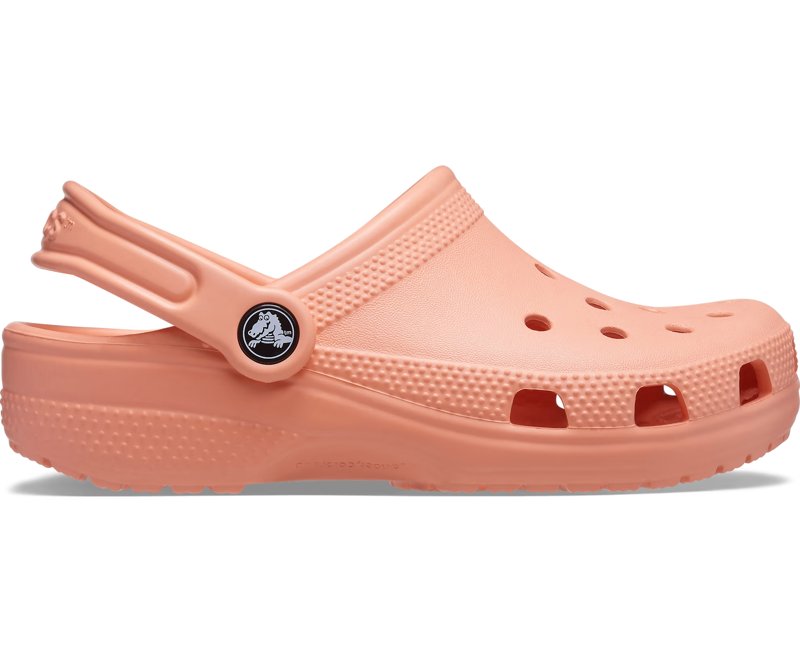 CLOG - PAPAYA