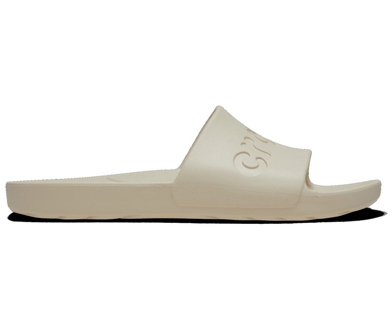 SLIDES - BONE