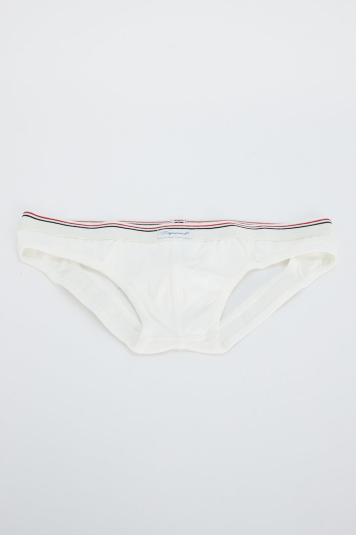 BRIEFS - MILK