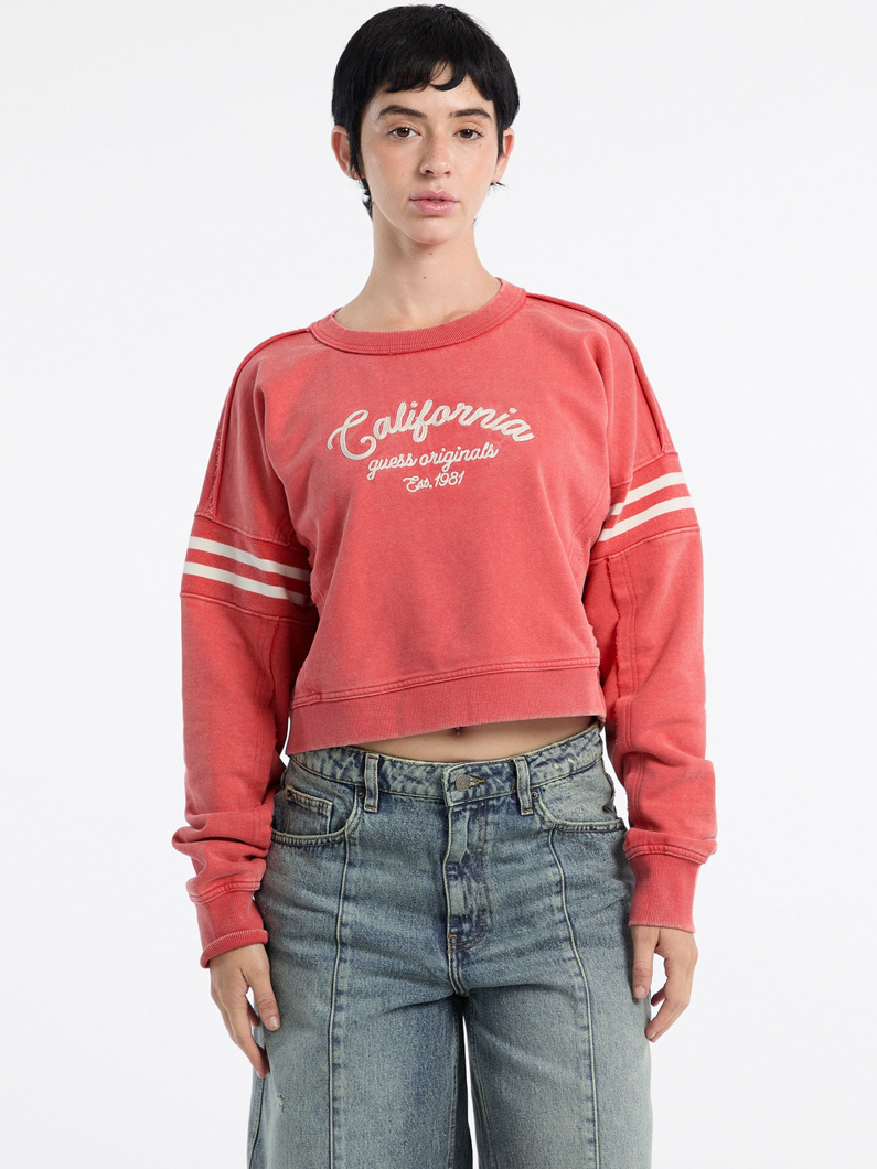 SWEATSHIRT - FRUIT JUICE MULTI