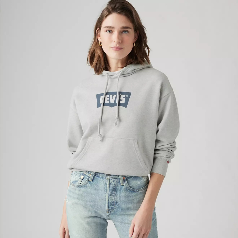 SWEATSHIRT - HOODIE VINTAGE BW G/VI LIGHT HEATHER GREY