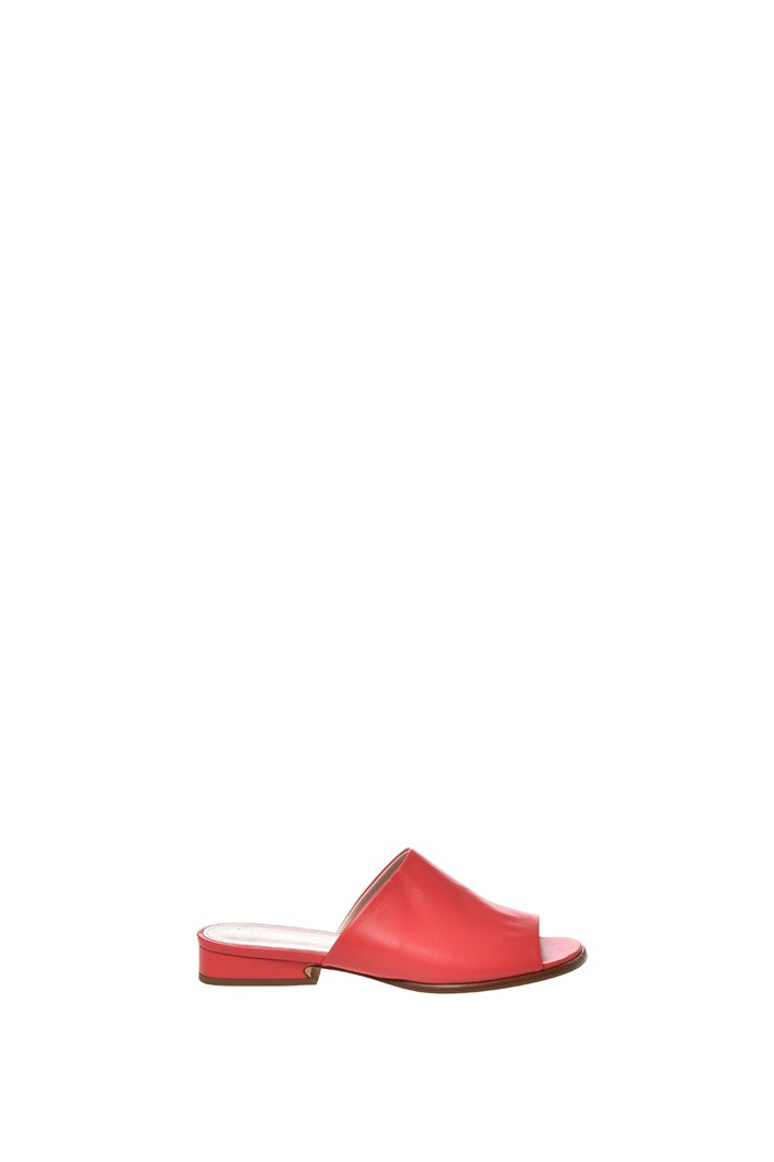 SLIDES - POPPY