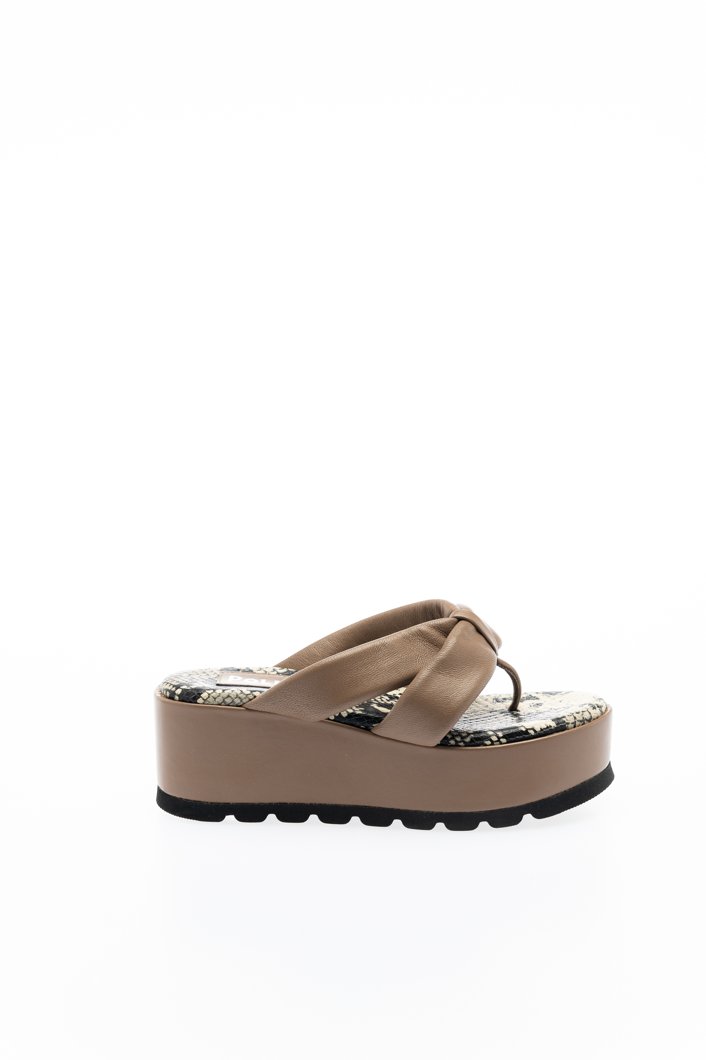 SLIDES - BROWN