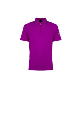 POLO - ASTER SELVATICO